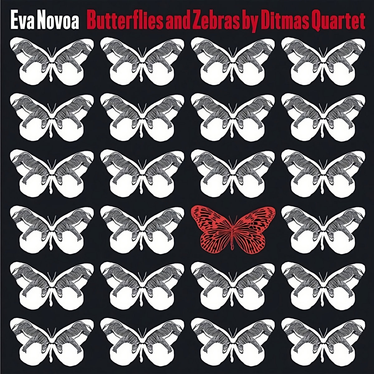 Butterflies and Zebras by Ditmas Quartet | Eva Novoa