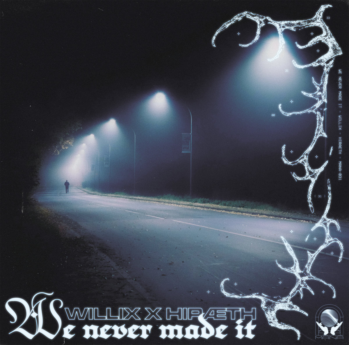 we never made it cover