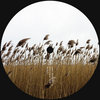 Luke Hess — TDY