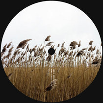 Stojche - AWOL - Luke Hess - Deep'a & Biri — 10 YRS OF JAUNT - LAND EP