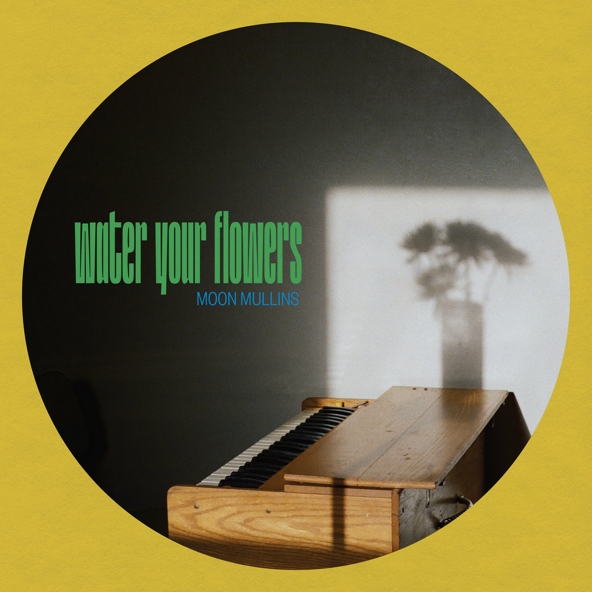 MOON☪︎ପଓ*ೃ様　　琉球*海花のたね Water Your Flowers | Moon Mullins