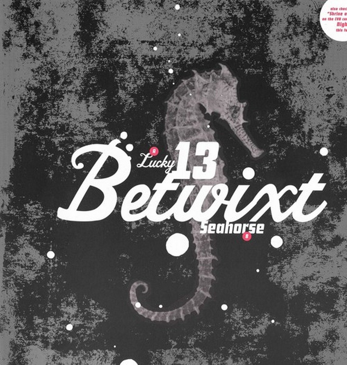 Lucky 13 b/w Seahorse | Betwixt
