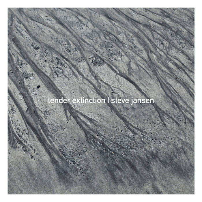 サイン本 スティーヴ・ジャンセン THROUGH A QUIET WINDOW スティーヴ・ジャンセンの写真展〈Through A Quiet Window〉、JR