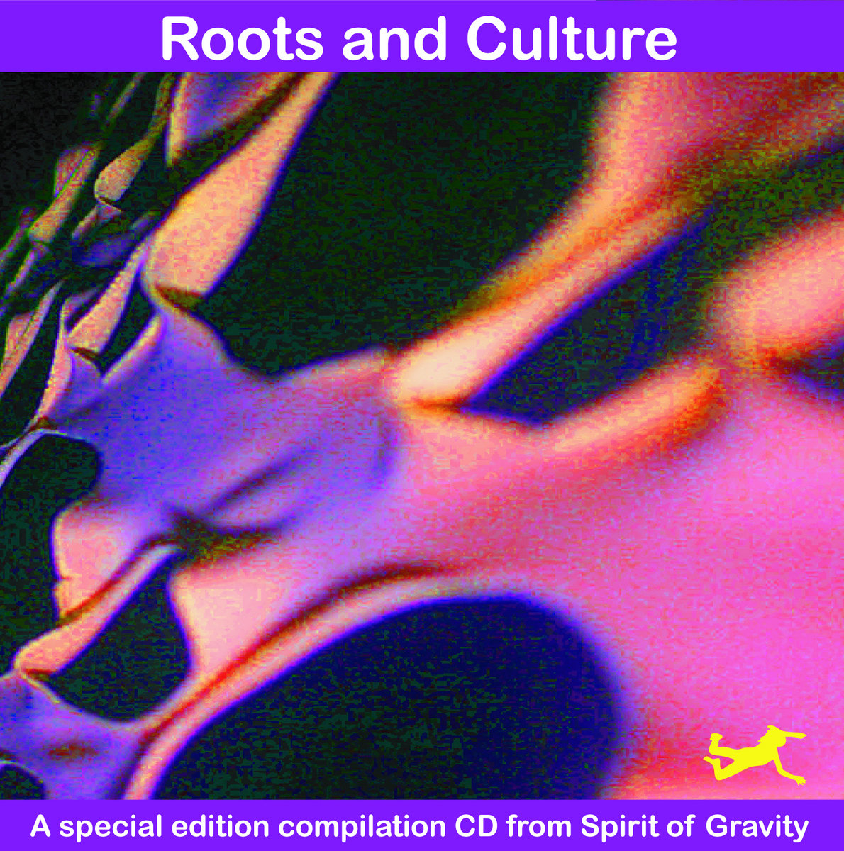 Spirit of Gravity