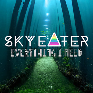 Everything I Need cover