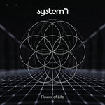Merch | System 7