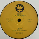 Lion (Tribute to Shaka)
