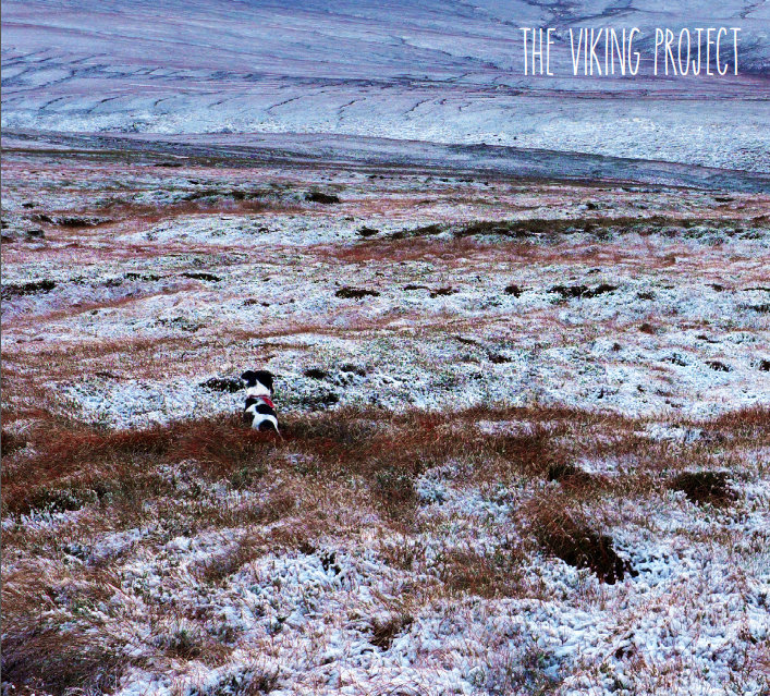 the Viking Project cover