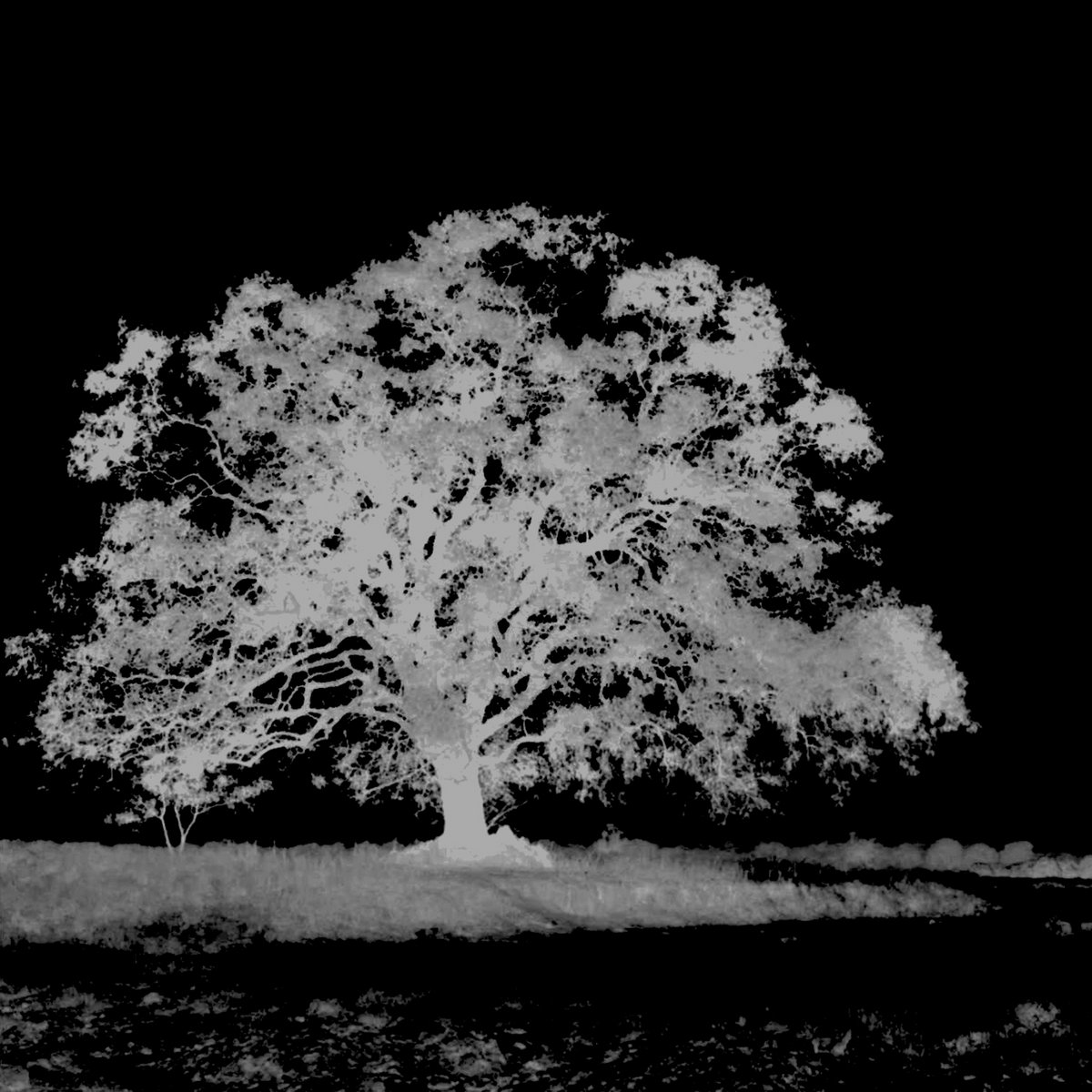 Travancore [reduction]