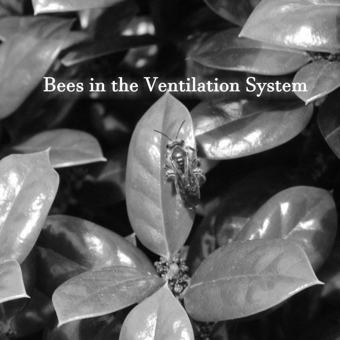 Bees in the Ventilation System 64studios101