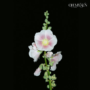 Album artwork for Live From The Womb