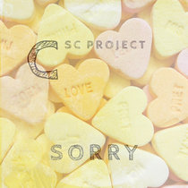 CSC Project - Sorry Remixes cover art