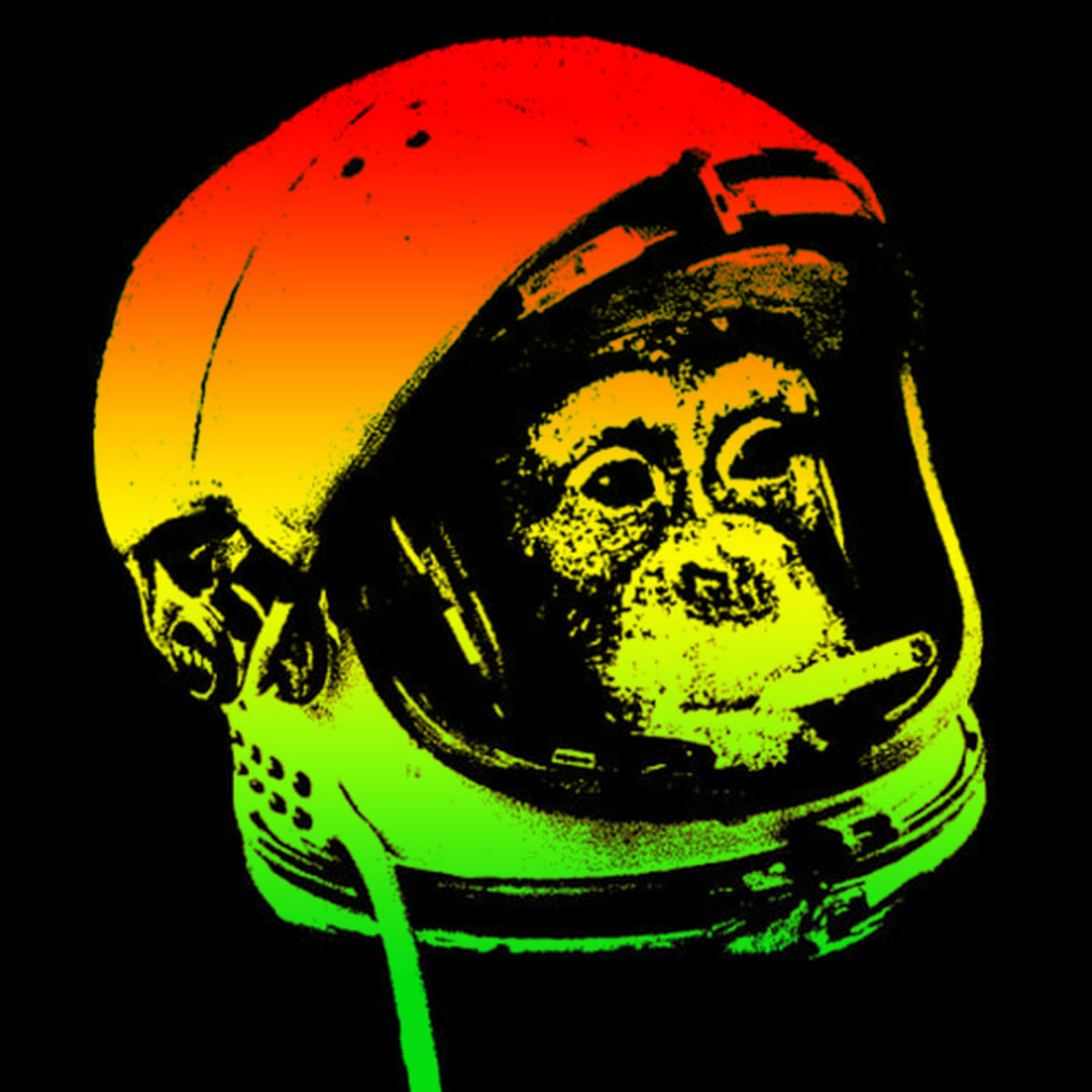 Reel Love Spacemonkey.