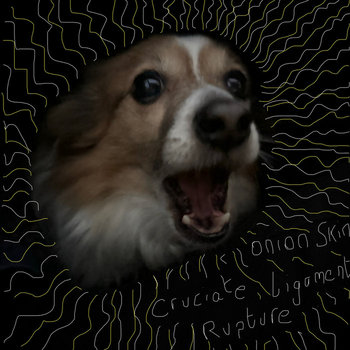 Album artwork for Cruciate Ligament Rupture