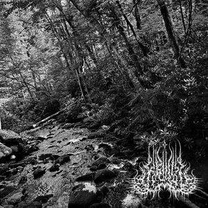 Ritualistic Dream cover