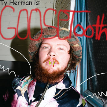 Album artwork for Goosetooth