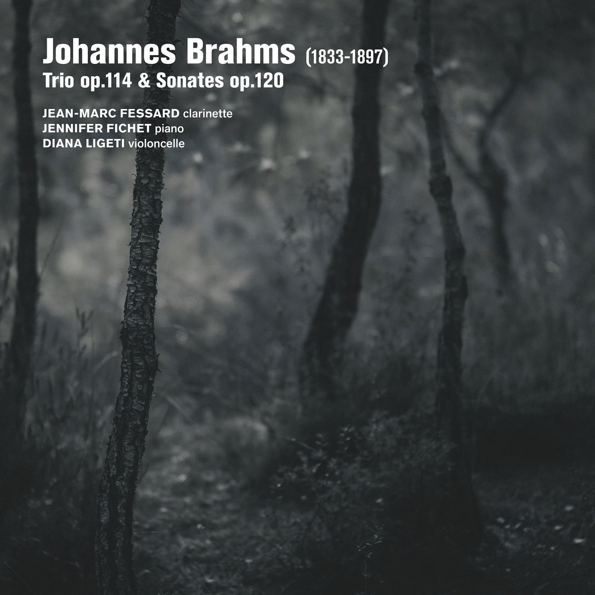 Johannes Brahms - Trio op.114 & Sonates op.120 | Jean-Marc