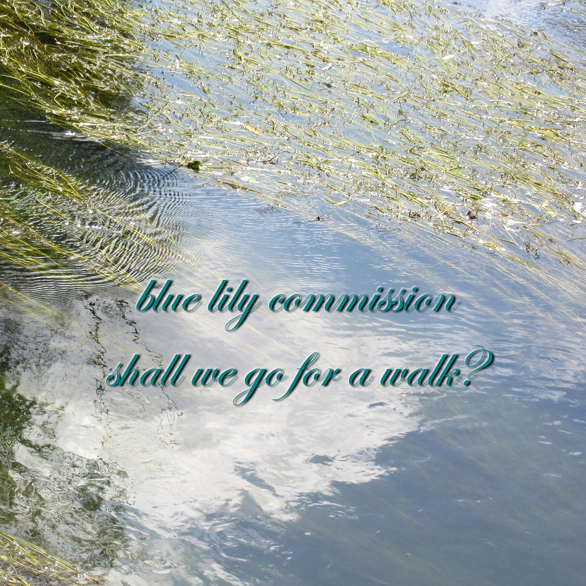 Shall We Go For A Walk Blue Lily Commission blue lily commission bandcamp