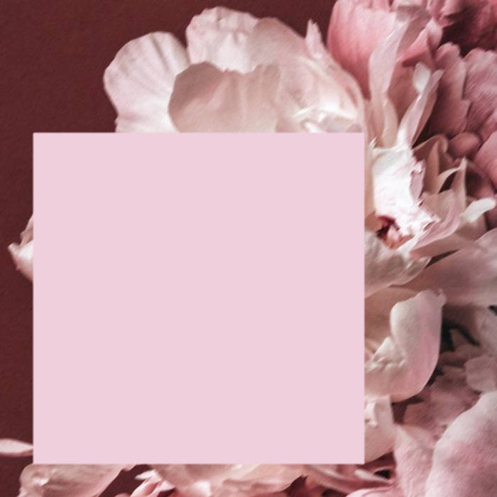 waserin - pastel album artwork