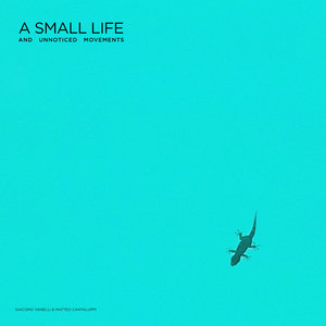A Small Life and Unnoticed MovementsGiacomo Vanelli & Matteo Cantaluppi cover