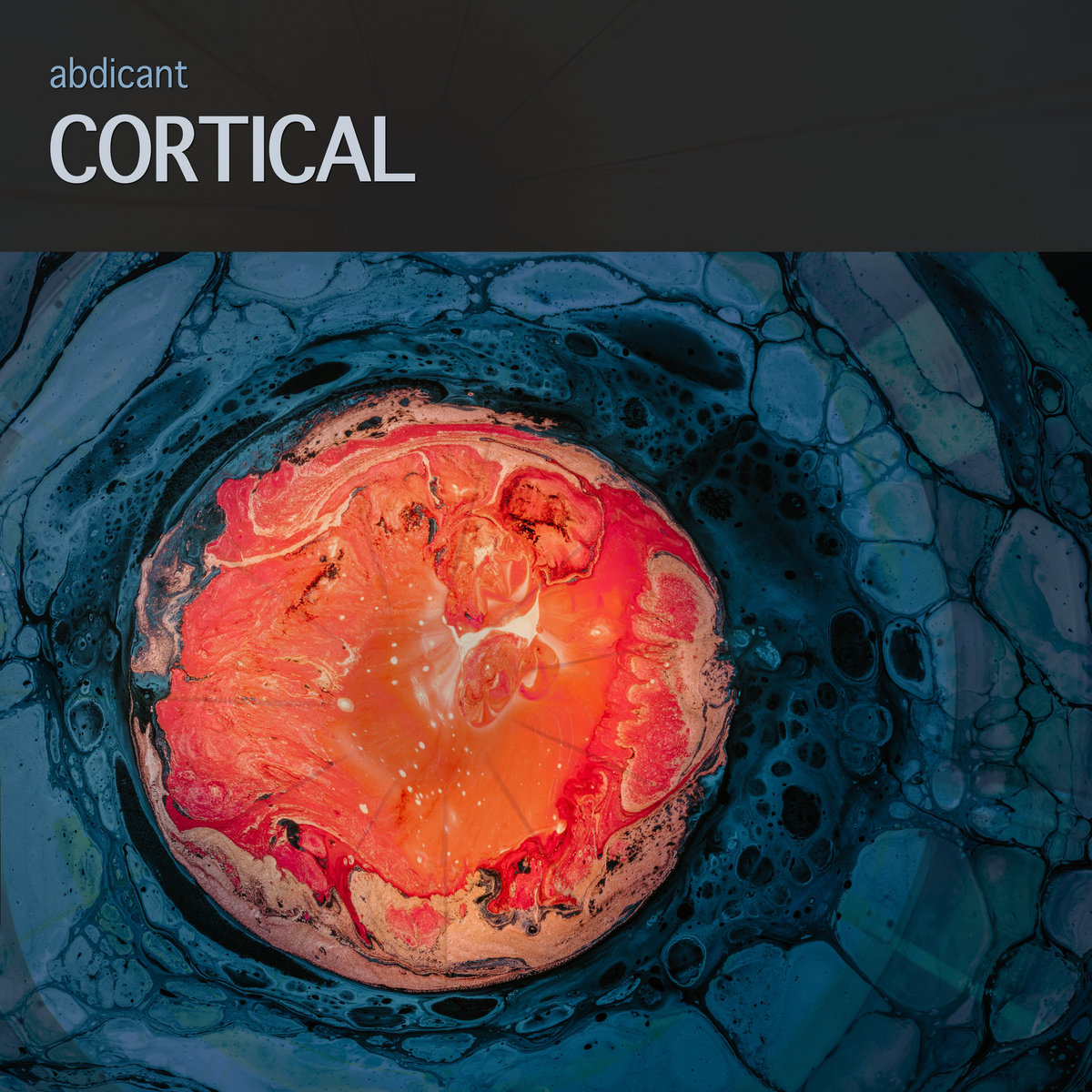 Abdicant – Cortical