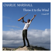 Throw It To The Wind cover art