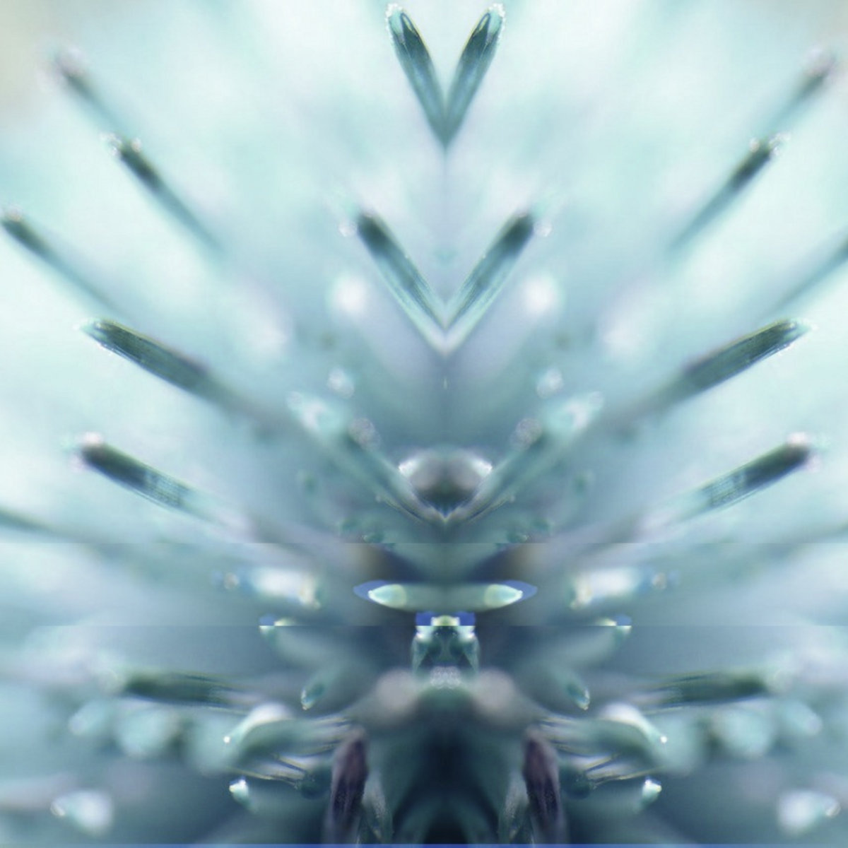 Kahai Owens - Textural Radiation