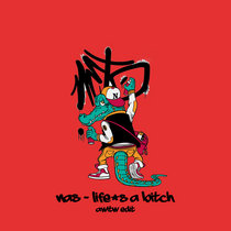 Nas- Life's a Bitch (AWITW Edit) cover art