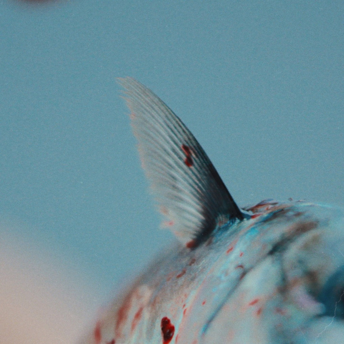 Pointe-Saint-Pierre by Luan Larobina