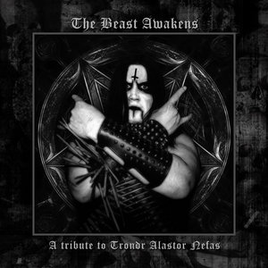 Satanist (beastcraft cover) cover