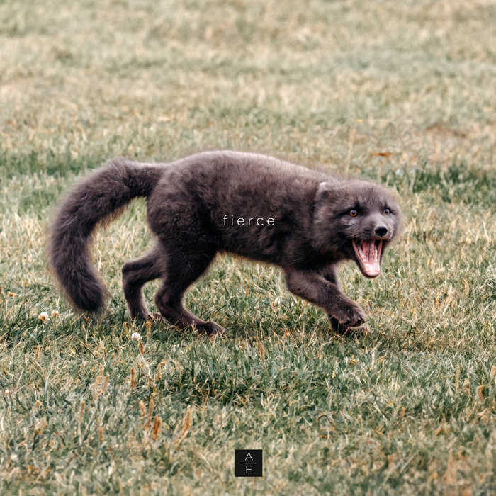 Fierce | Aurelia Evgenia