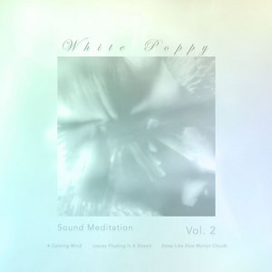 Sound Meditation Vol. 2 cover