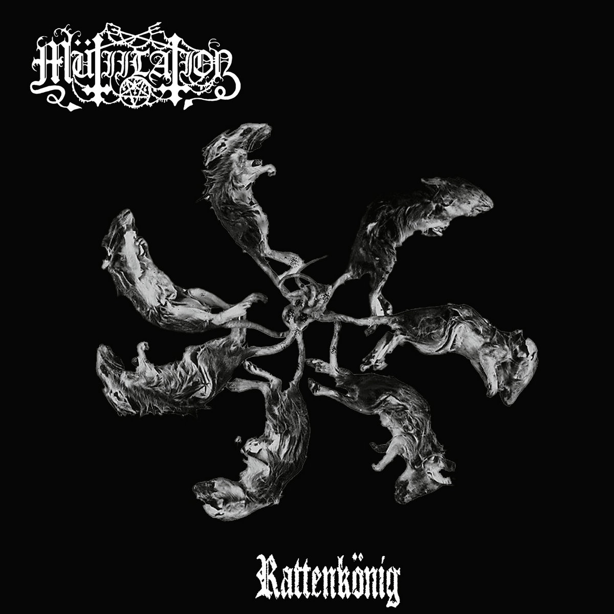 Mutiilation rattenkonig