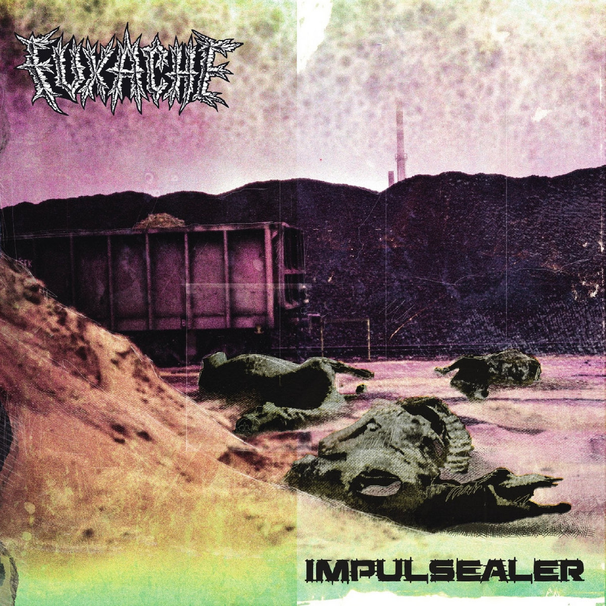 PSYCHO 001_INSECT WARFARE / CARCASS GRINDER split 7