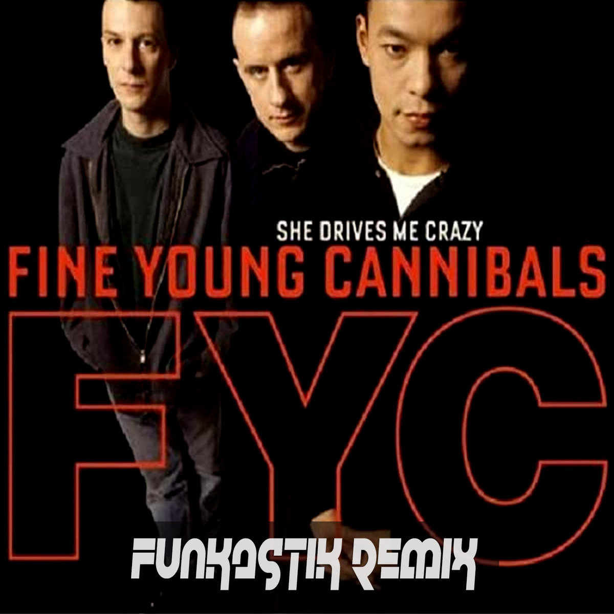 Fine Young Cannibals She Drives Me Crazy (Funkastik remix) Funkastik Fine Young Cannibals She Drives Me Crazy (Funkastik remix) Funkastik