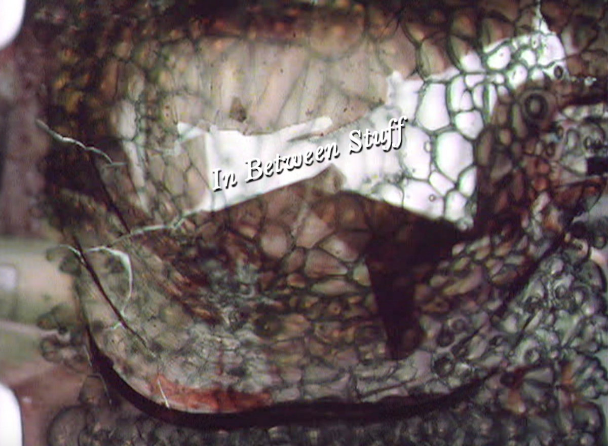 Inbetween Stuff In Between Stuff | Steve Dirkx