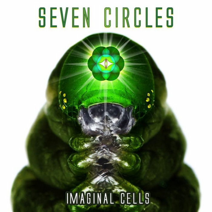 Imaginal Cells Seven Circles