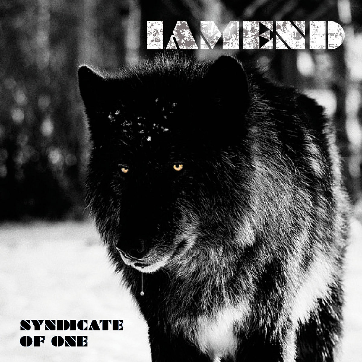 Syndicate of One cover
