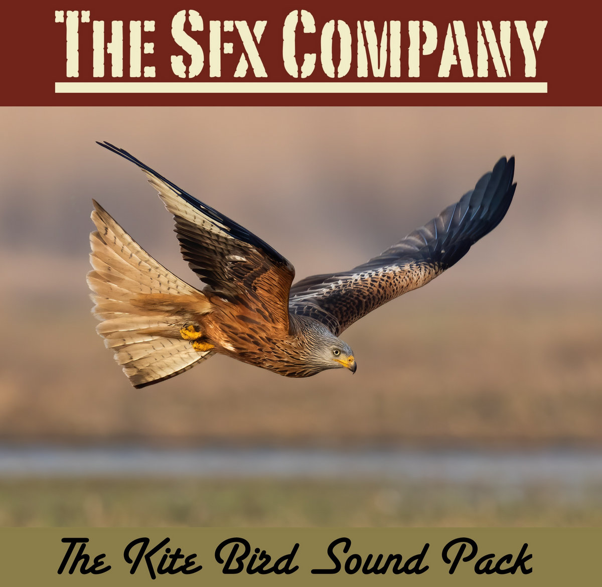 The Kite Bird Sound Pack The SFX Company