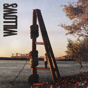 Willows cover