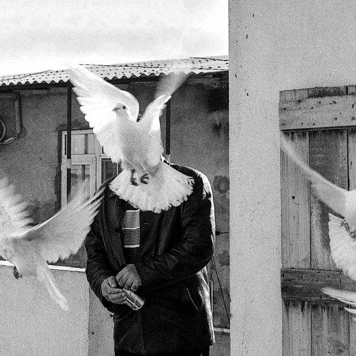 Doves Dont Fly Bandcamp