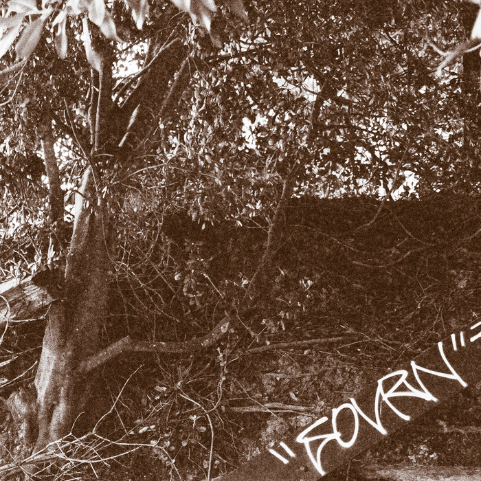 Greatsouth Greatsouth - Main Image