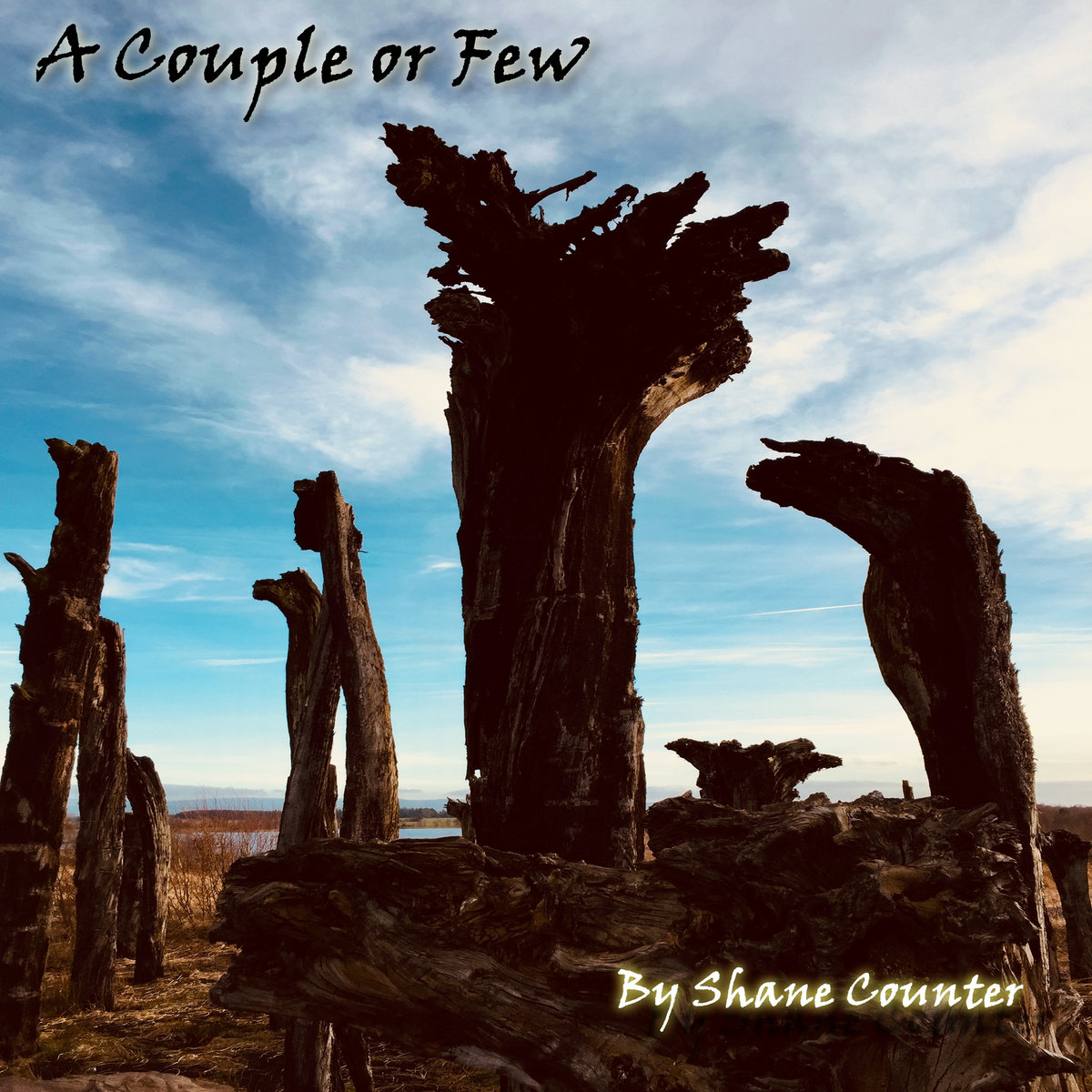 A Couple or Few cover