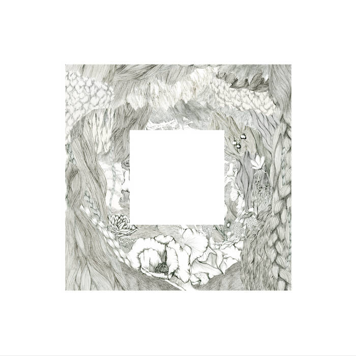 Flower of life | The Novembers