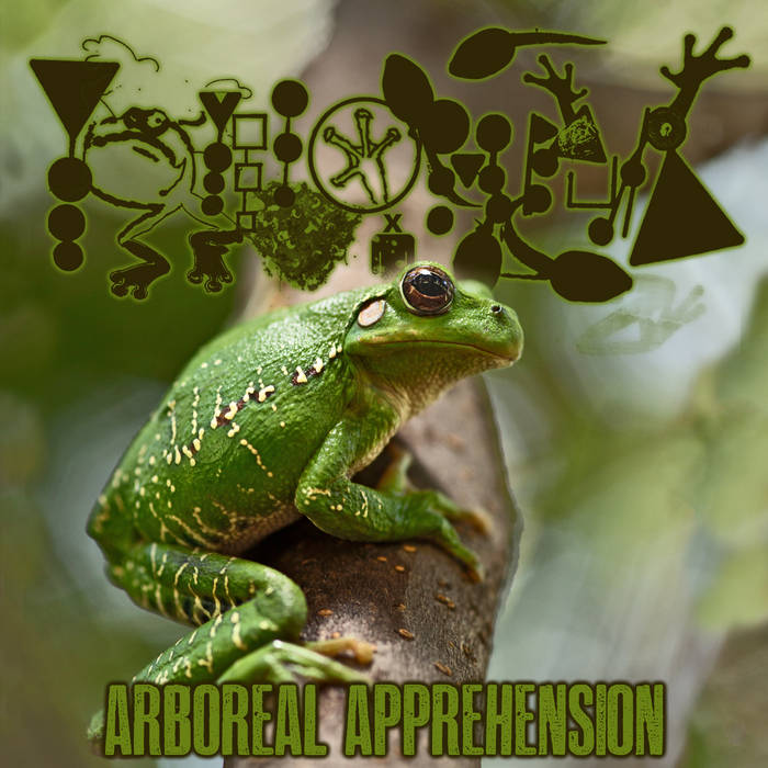 Arboreal Apprehension | Phyllomedusa