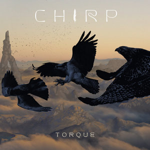 Torque cover