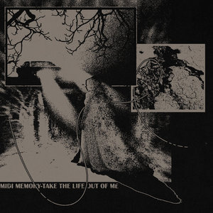 take the life out of me cover