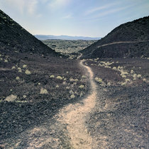 Walk In Desert cover art
