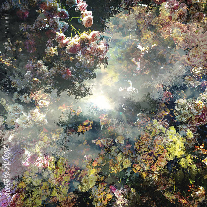 Goodbye_meteor We Could_have_been_radiant