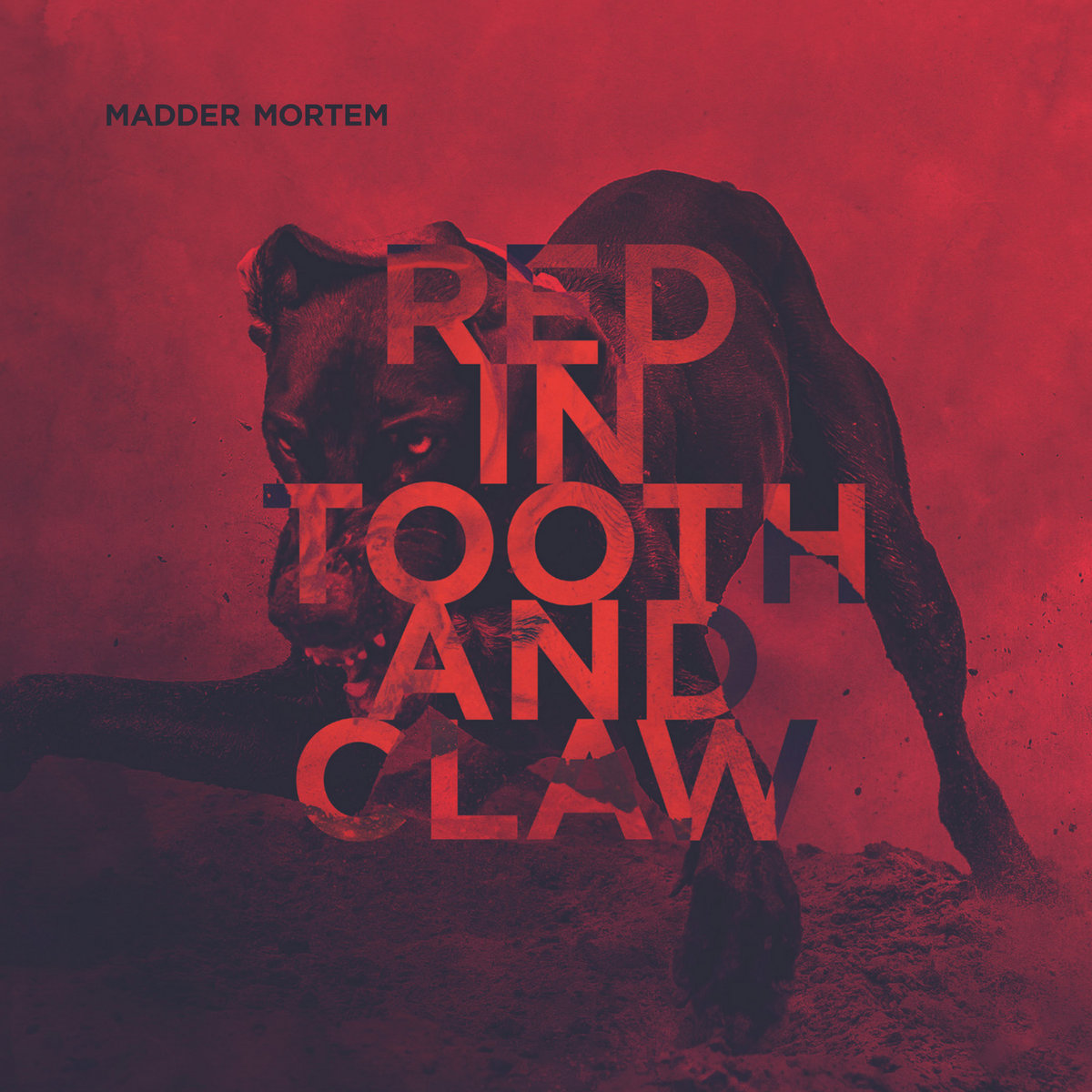 Red in Tooth and Claw Madder Mortem